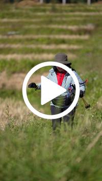 BIB:  <button type="button" onclick="openModal(26787413)" class="btn btn-primary btn-sm float-right" data-toggle="modal" data-target=".modal-high-quality">
                <i class="fa fa-download"></i> Download
                </button>